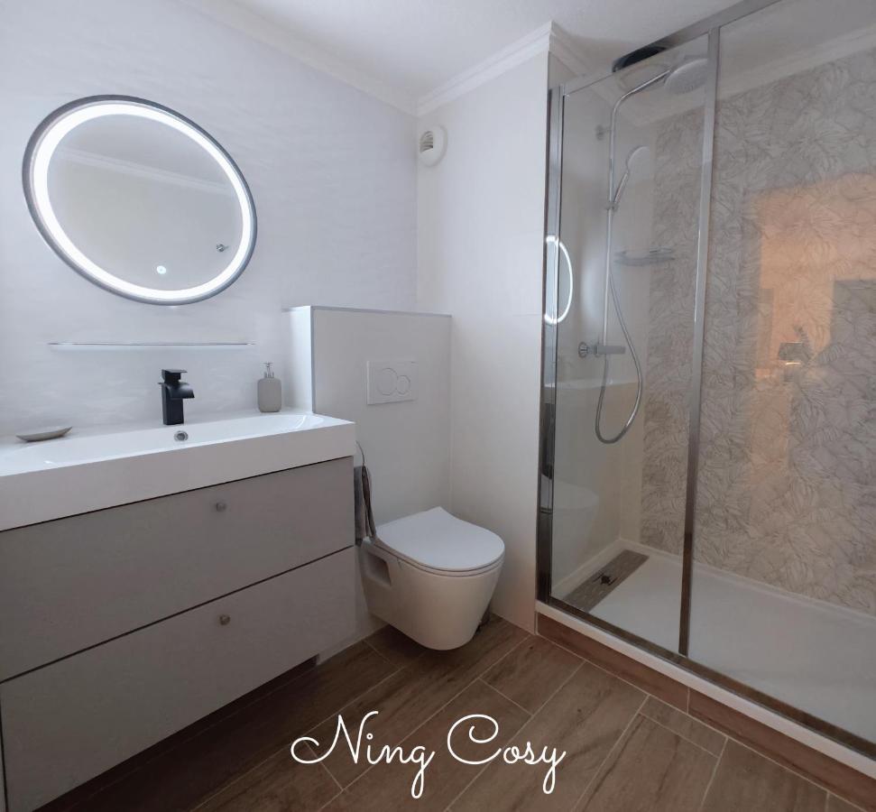 Superbe Cosy Duplex Appartement T3 Charpenne Tete D'Or Avec Parking Prive Gratuit Villeurbanne Eksteriør bilde