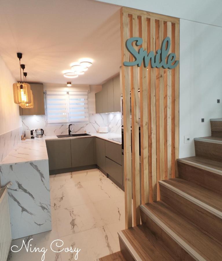 Superbe Cosy Duplex Appartement T3 Charpenne Tete D'Or Avec Parking Prive Gratuit Villeurbanne Eksteriør bilde